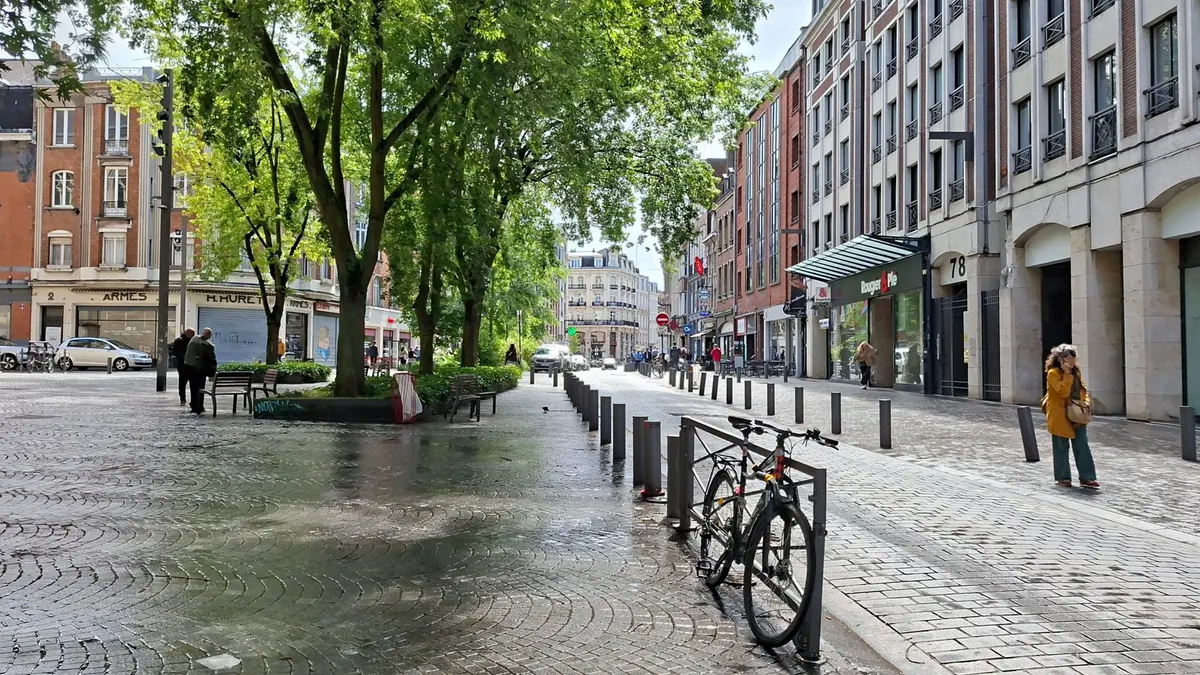 Geo Freelancer In Lille