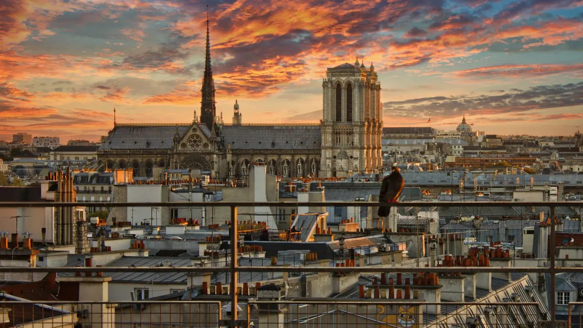Best Geo Freelance In Reims